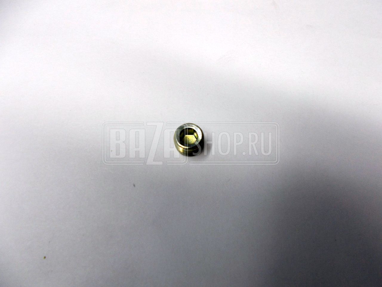 Пробка  крышки гидронатяжителя М10*1 дв.ЗМЗ 406, 409 КГ 1/8" (Белебей) / 870884-П29